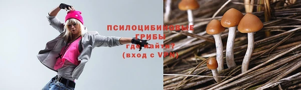 бошки Алзамай