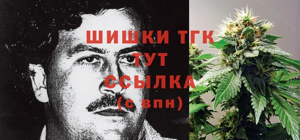 ПСИЛОЦИБИНОВЫЕ ГРИБЫ Алексин