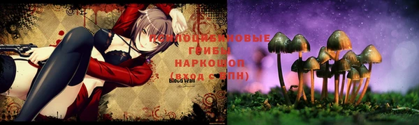 бошки Алзамай