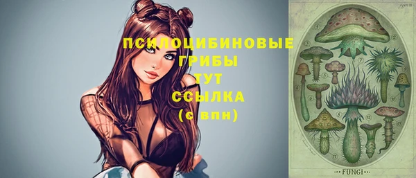 крисы Алексеевка
