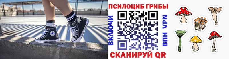 купить наркоту  Самара  Псилоцибиновые грибы GOLDEN TEACHER 