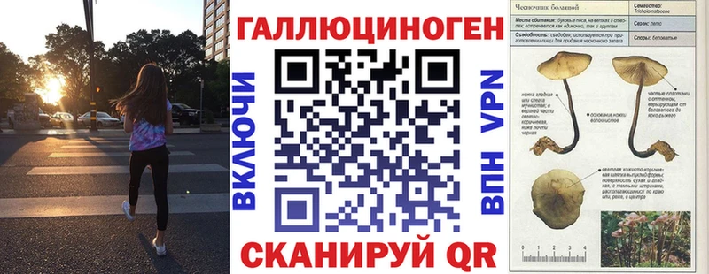 Псилоцибиновые грибы GOLDEN TEACHER Самара